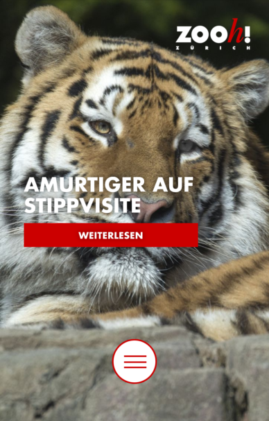 Screenshot von zoo.ch auf dem Smartphone